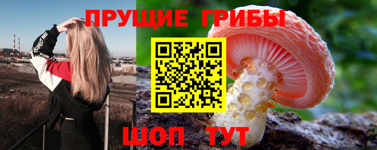 Псилоцибиновые грибы GOLDEN TEACHER  что такое   Мелеуз  Вход с VPN 